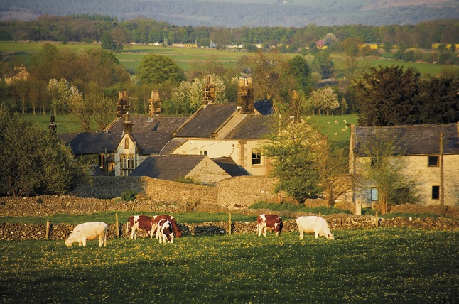 farm residential portfolio income