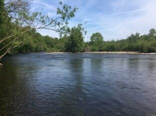 Salmon and trout fishing on the River Eden
